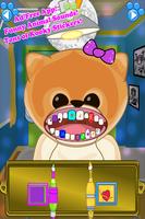 Celebrity Dentist Pets Doctor Poster