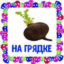 На грядке. Карточки для детей APK