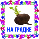 На грядке. Карточки для детей icon