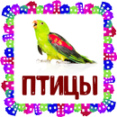 Птицы. Карточки для детей APK