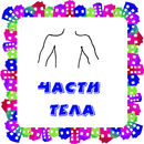 Части тела. Карточки для детей APK