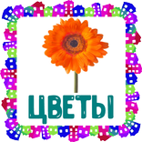 Цветы. Развивающие карточки