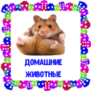 Домашние животные . Карточки для детей APK