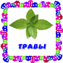 Травы. Карточки для детей APK