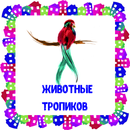 Животные тропиков. Карточки для детей-APK