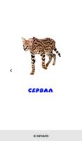2 Schermata Животные Африки. Карточки для детей