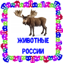 Животные России. Карточки для детей APK