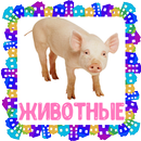 Животные. Карточки для детей APK