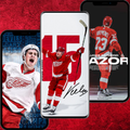 Detroit Red Wings NHL