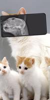 X ray animal photo filter Affiche