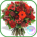 Flowers Images Gif 2019