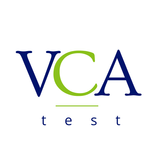 VCA - test in Dutch & English