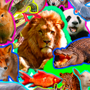 Animals Sounds: World Sounds APK