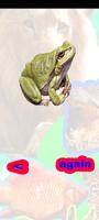 Poster Animals Sounds: World Sounds
