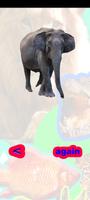 1 Schermata Animals Sounds: World Sounds