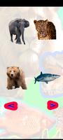 2 Schermata Animals Sounds: World Sounds