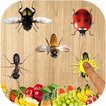 Ant Smasher 2d