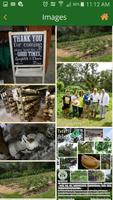 Green Valley Farm syot layar 3