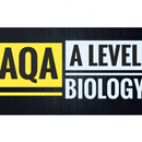 AQA  A level Biology  Summary Notes+Revision Kit APK