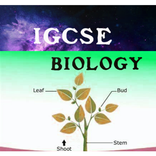 ”IGCSE biology notes