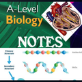 ”A level biology notes