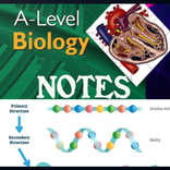 ”A level biology notes