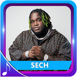 Sech Música Sin Internet 2021