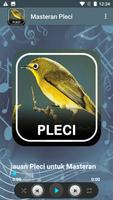 برنامه‌نما Suara Burung Pleci Offline عکس از صفحه