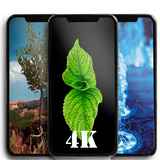 DMS WALLPAPERS 4K HD иконка