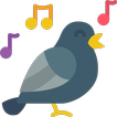Vogelstimmen : Ruf & Gesang