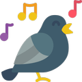 Vogelstimmen : Ruf & Gesang