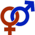 Erectile Dysfunction Self-Test
