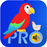 Animal Sounds - Real Sounds