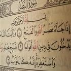 سورة النصر:سورة النصر مكتوبة للاطفال ícone