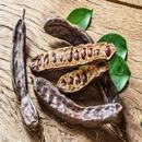 Benefits of carob APK