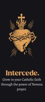 Intercede screenshot 1