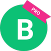The Holy Bible Pro APK