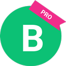 The Holy Bible Pro APK