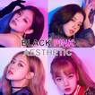 BlackPink Aesthetic Wallpaper