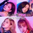 BlackPink Aesthetic Wallpaper icon