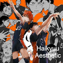 Haikyuu Aesthetic Wallpaper APK