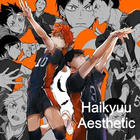 Haikyuu Aesthetic Wallpaper アイコン