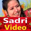 Sadri Song -  Sadri Video, DJ 