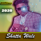 Shatta Wale-icoon