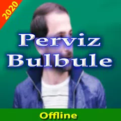 download Perviz Bulbule 2020 İnternet o APK