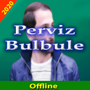 APK Perviz Bulbule 2020 İnternet o