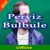 Perviz Bulbule simgesi