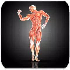 Chest workout APK download