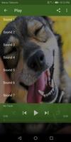 Dog sounds 截圖 3