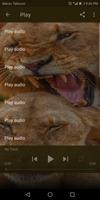 Lion sounds syot layar 1